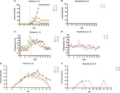 The immune response to lumpy skin disease virus in cattle is influenced by inoculation route